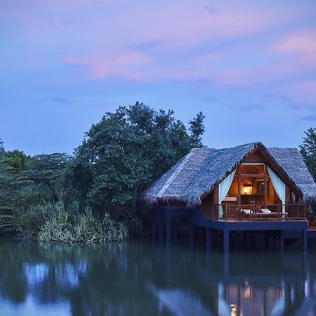 Jetwing Vil Uyana, A Luxury Reserve Σιγκιρίγια Εξωτερικό φωτογραφία
